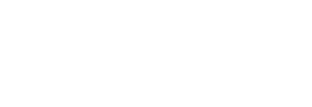 Texas Sparkle Services Logo